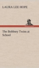 Image for The Bobbsey Twins at School