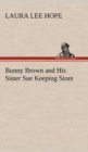 Image for Bunny Brown and His Sister Sue Keeping Store