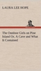 Image for The Outdoor Girls on Pine Island Or, A Cave and What It Contained