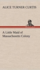 Image for A Little Maid of Massachusetts Colony