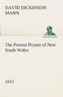 Image for The Present Picture of New South Wales (1811)