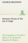 Image for Brannon&#39;s Picture of The Isle of Wight The Expeditious Traveller&#39;s Index to Its Prominent Beauties &amp; Objects of Interest. Compiled Especially with Reference to Those Numerous Visitors Who Can Spare bu