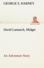 Image for David Lannarck, Midget An Adventure Story