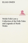 Image for Welsh Folk-Lore a Collection of the Folk-Tales and Legends of North Wales