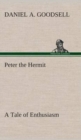 Image for Peter the Hermit A Tale of Enthusiasm