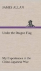 Image for Under the Dragon Flag My Experiences in the Chino-Japanese War