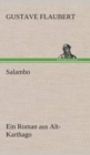 Image for Salambo Ein Roman aus Alt-Karthago