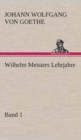 Image for Wilhelm Meisters Lehrjahre - Band 1