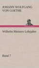 Image for Wilhelm Meisters Lehrjahre - Band 7