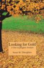Image for Looking for gold  : a year in Jungian analysis