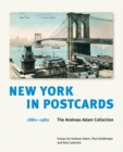 Image for New York in Postcards 1880-1980