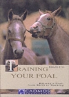 Image for Training your foal  : raising a foal