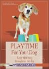 Image for Playtime for your dog  : keep him busy throughout the day