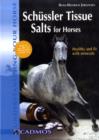 Image for Schèussler tissue salts for horses  : healthy and fit with minerals