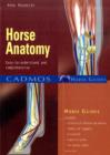 Image for Horse anatomy  : easy-to-understand and comprehensive