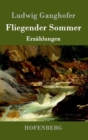 Image for Fliegender Sommer