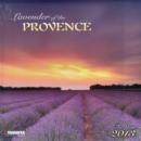 Image for Lavender of the Provence 2013