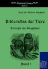 Image for Bilderatlas der Tiere (Band 1)