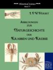 Image for Abbildungen zur Naturgeschichte der Krabben und Krebse