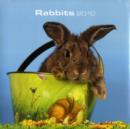 Image for RABBITS
