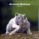 Image for ANIMAL BABIES 2010 CALENDAR