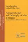 Image for Neuropsychology and Philosophy of Mind in Process