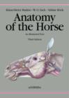 Image for Anatomy of the Horse : An Illustrated Text