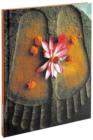 Image for Buddhas Footsteps