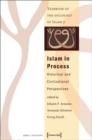 Image for Islam in Process