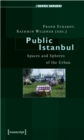 Image for Public Istanbul : Spaces and Spheres of the Urban