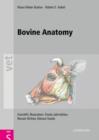 Image for Bovine anatomy  : an illustrated text
