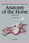 Image for Anatomy of the horse  : an illustrated text