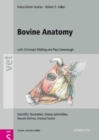 Image for Bovine Anatomy