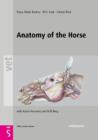Image for Anatomy of the horse.