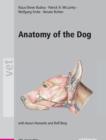 Image for Anatomy of the dog: an illustrated text.