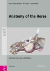 Image for Anatomy of the horse