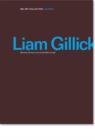 Image for Liam Gillick  : woven/intersected/revised