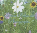 Image for Photographs