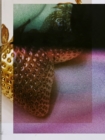Image for Paradise Paradoxe