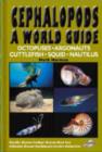 Image for Cephalopods : A World Guide - Octopuses, Argonauts, Cuttlefish, Squid, Nautilis - Pacific Ocean, Indian Ocean, Red Sea, Atlantic Ocean, Caribbean, Arctic, Antarctic.