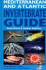 Image for Mediterranean and Atlantic Invertebrate Guide