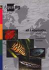 Image for Aqualog All Labyrinths, Bettas, Gouramis, Snakeheads and Nandids