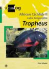 Image for Aqualog African Cichlids II Taganyika I - Tropheus