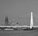 Image for Rhine Bridges