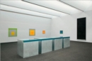 Image for Donald Judd &amp; Josef Albers: Color, Material, Space