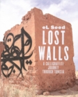 Image for Lost walls  : graffiti road trip in Tunisia