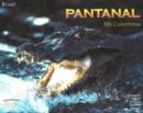 Image for Pantanal
