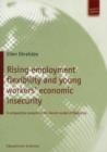 Image for Rising employment flexibility and young workers&#39; economic insecurity : A comparative analysis of the Danish model of flexicurity