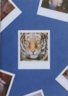 Image for Tiger