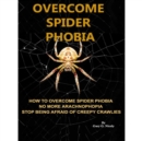Image for Overcome Spider Phobia.